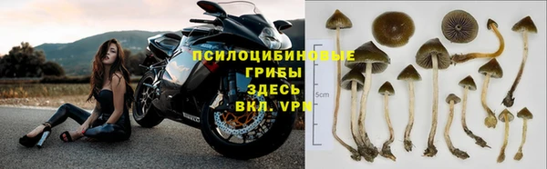 ешки Баксан