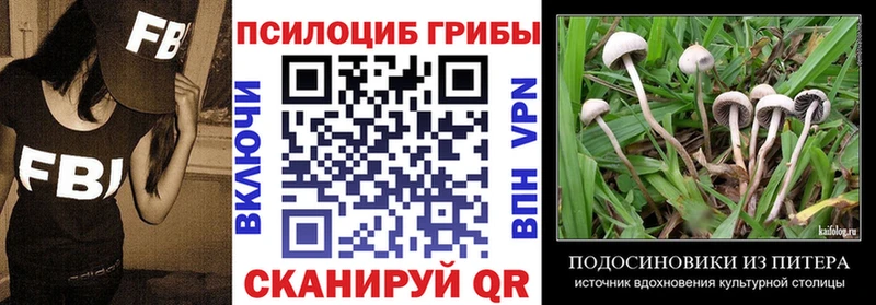 Псилоцибиновые грибы Psilocybine cubensis Ужур
